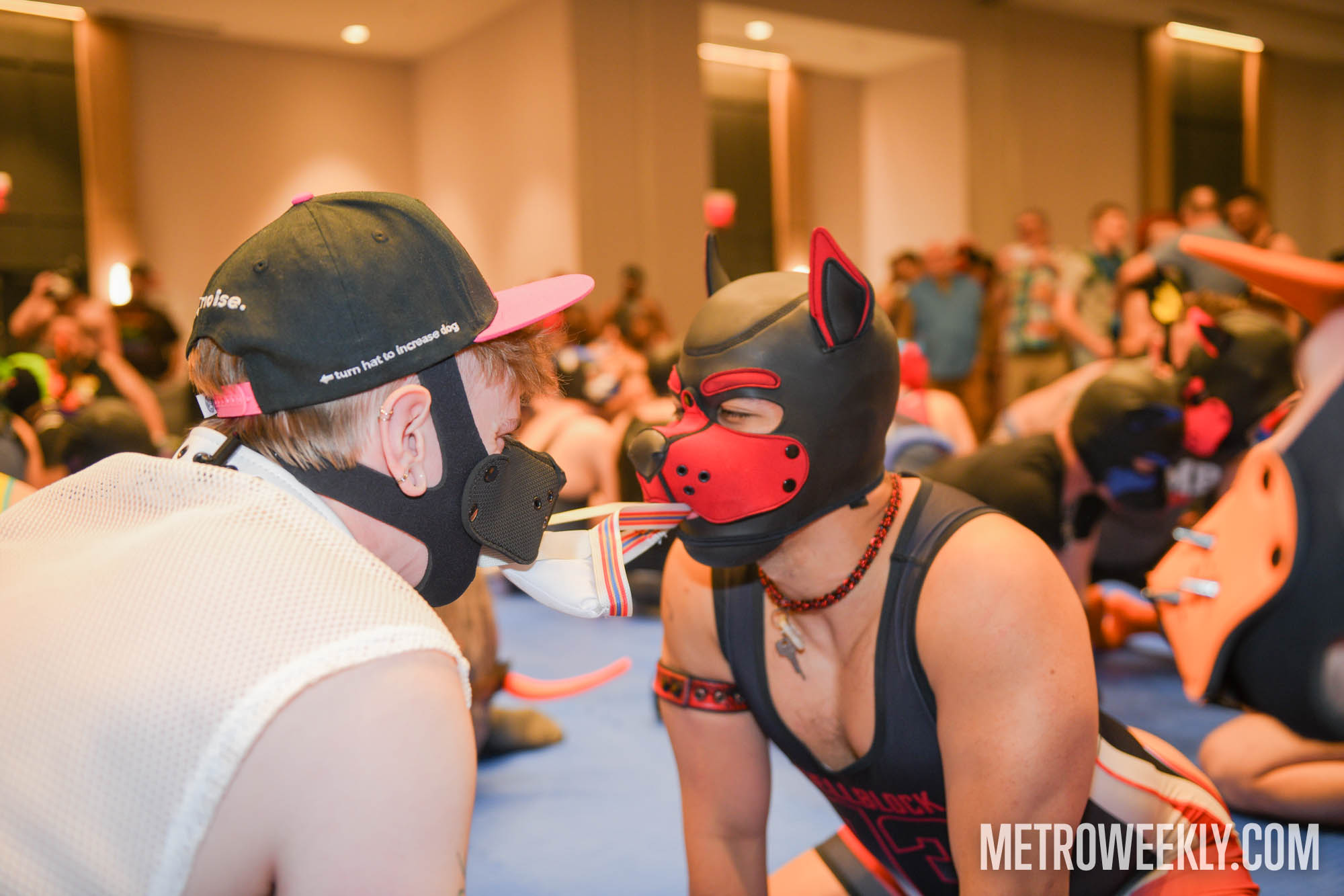 #13 of 168 : 2026-01-23_3027_179229.jpg