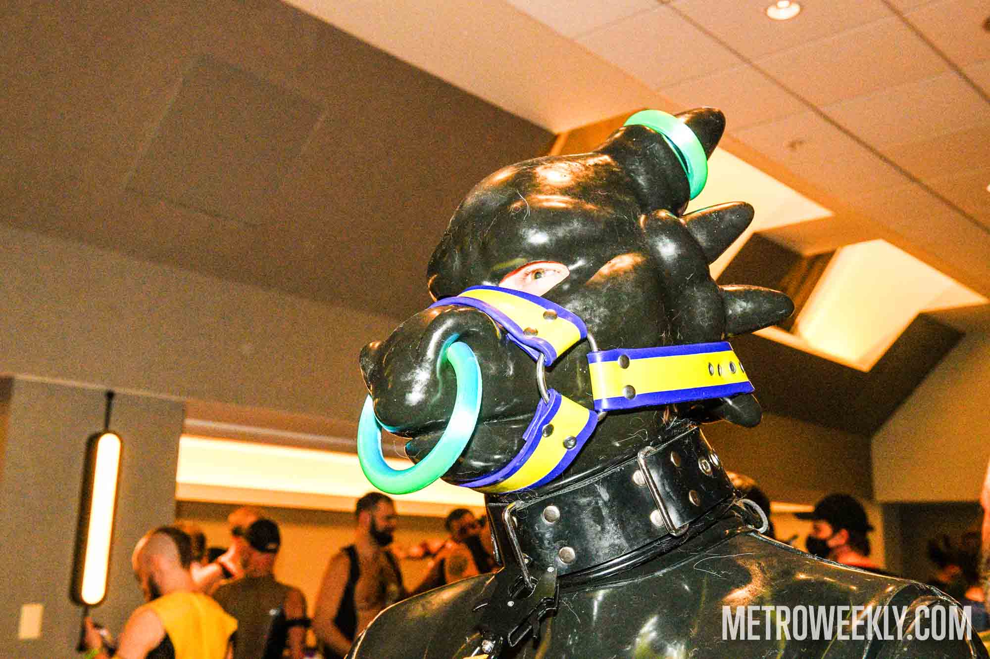 #154 of 168 : 2026-01-23_3027_179370.jpg