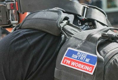 No Kings March, Washington D.C. #26